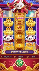 aipa · Fortune Rabbit